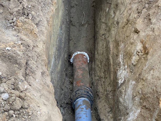 Best Flood damage cleanup  in Monticello, MN