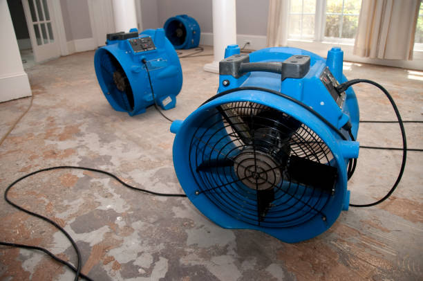 Best Basement water damage restoration  in Monticello, MN