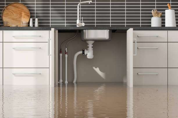 Best Water damage restoration near me  in Monticello, MN